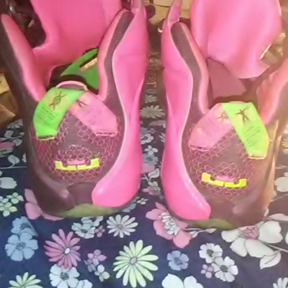 Lebrons - Picture 3 of 5